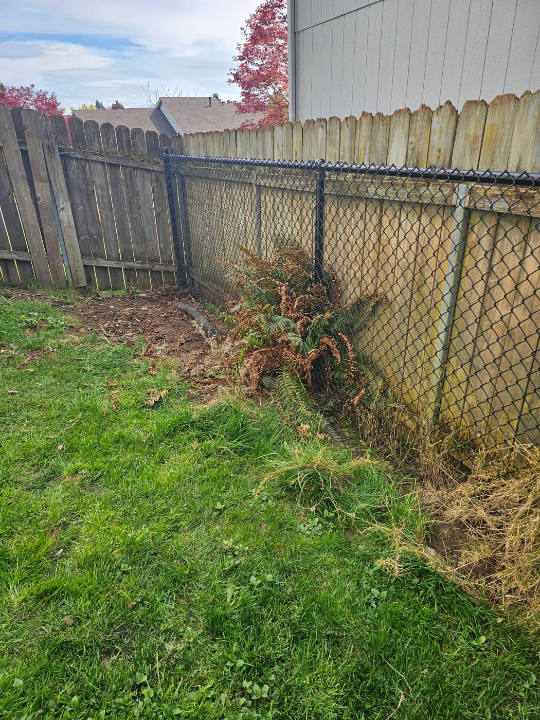 After - Full Room Estate Cleanout, Vancouver, WA