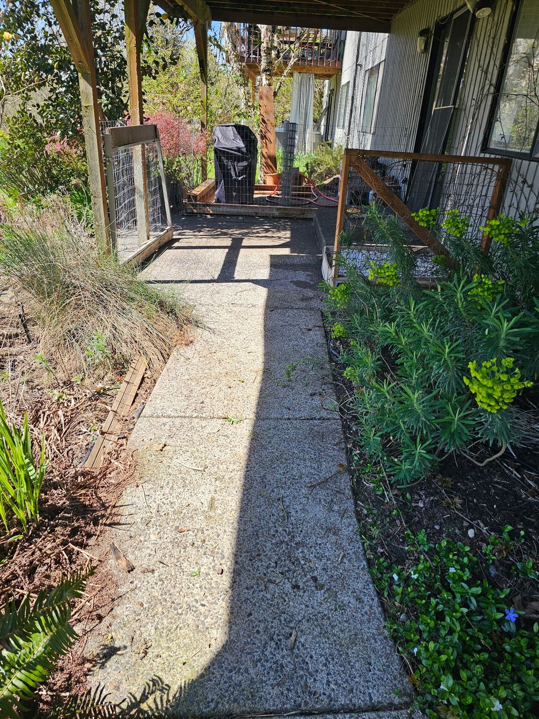 After - Full Property Cleanout, Clark County, WA