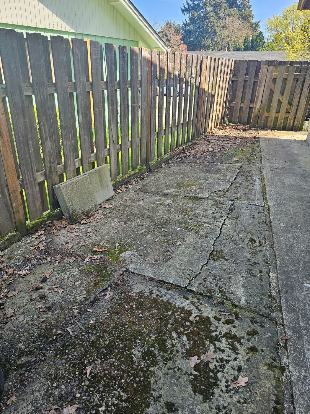 After - Side Yard & Walkway Cleanout, Vancouver, WA